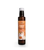 Pumpkin spice sirup bio láhev